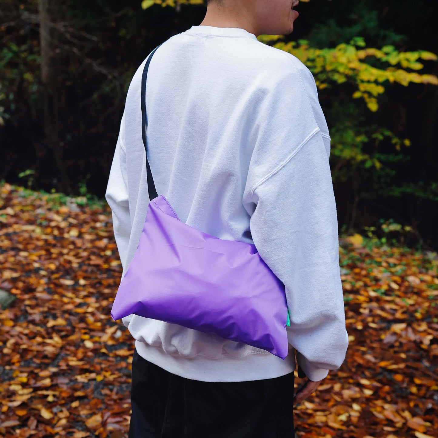 Pocket Musette